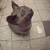 DPP_1027-3.jpg DPP_1027-3.jpg