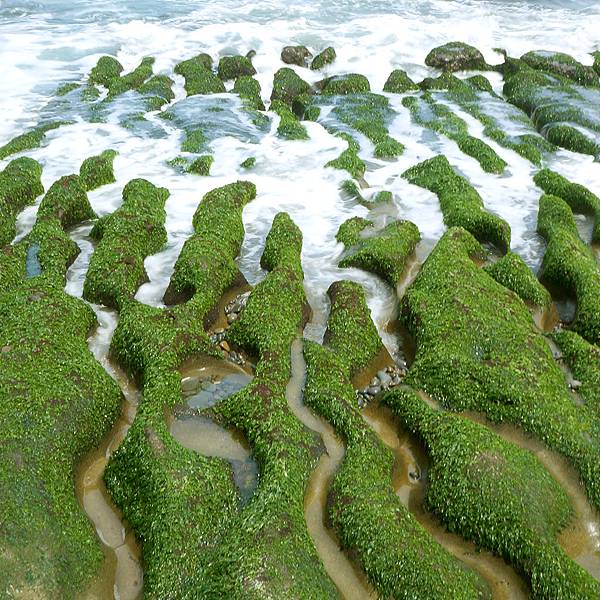 老梅綠石槽 老梅綠石槽