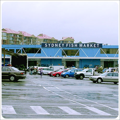 Sydney-Fish Market-01.jpg Sydney-Fish Market-01.jpg