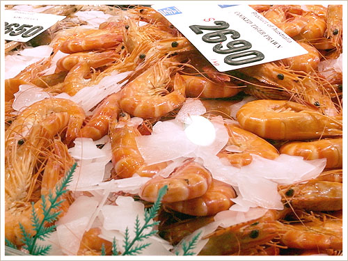 Sydney-Fish Market-05.jpg