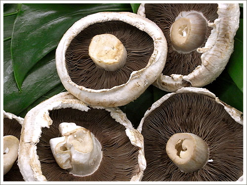 Sydney-Fish Market-13.jpg