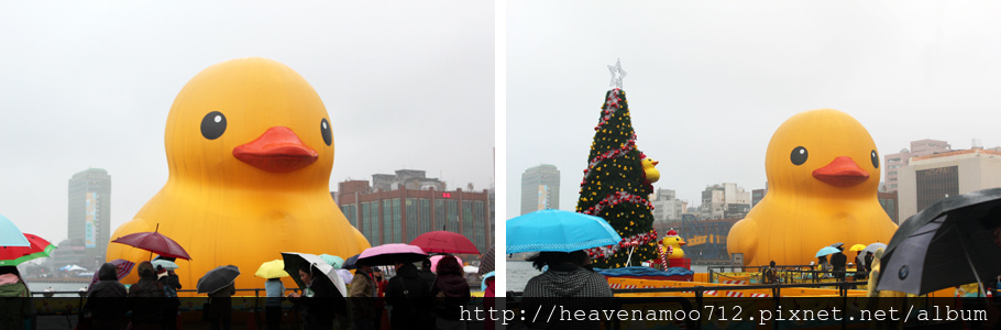 201312231.jpg 201312231.jpg