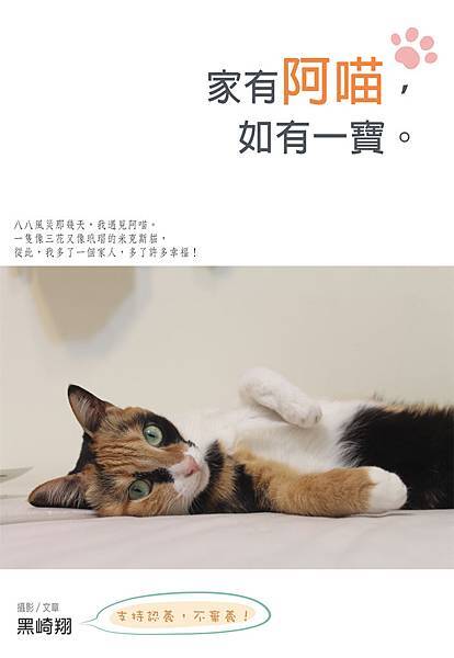 廣告用-封面 廣告用-封面