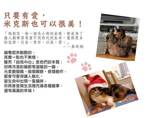 廣告用-文案 廣告用-文案