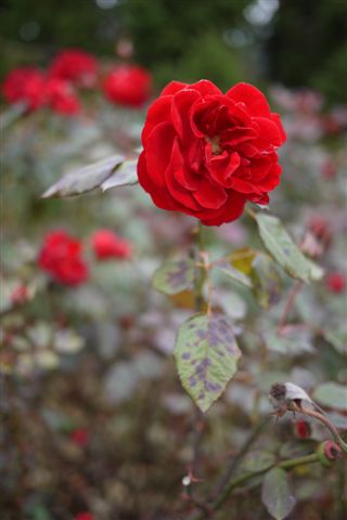 P1180343.JPG P1180343.JPG