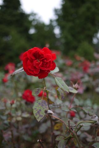 P1180342.JPG P1180342.JPG