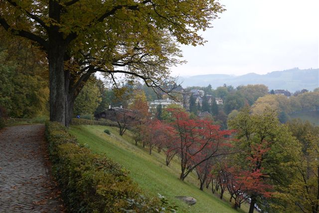 P1180368.JPG P1180368.JPG