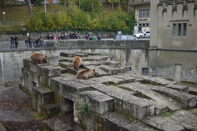 P1180392.JPG P1180392.JPG