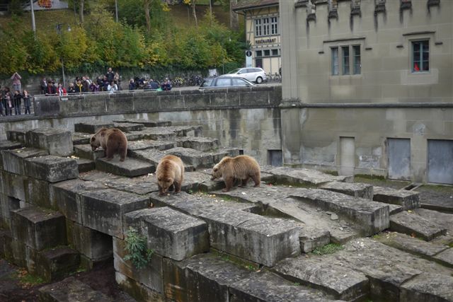 P1180393.JPG P1180393.JPG