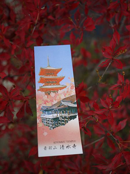 P1230517.JPG P1230517.JPG