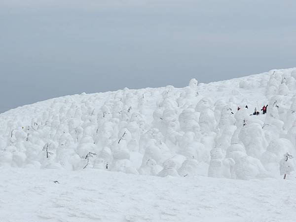 IMG_0454.JPG IMG_0454.JPG