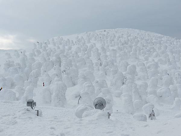 IMG_0455.JPG IMG_0455.JPG