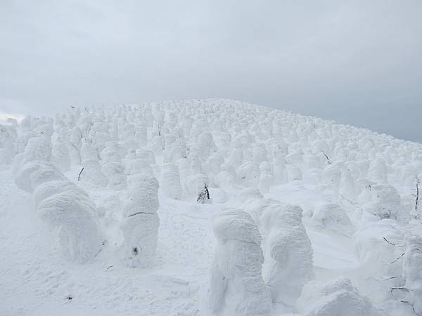 IMG_0465.JPG IMG_0465.JPG