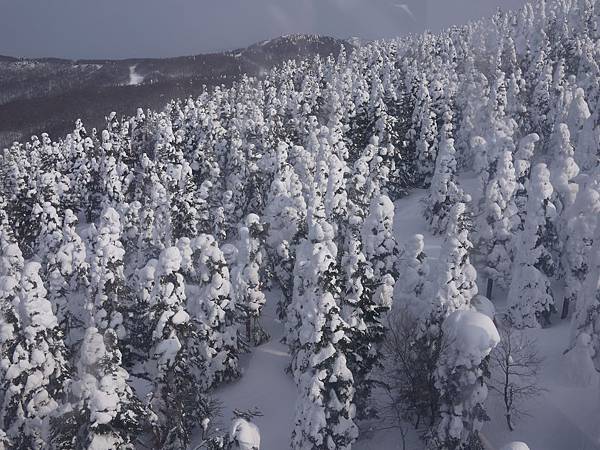 P1240045.JPG P1240045.JPG