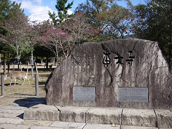 P1230850.JPG P1230850.JPG