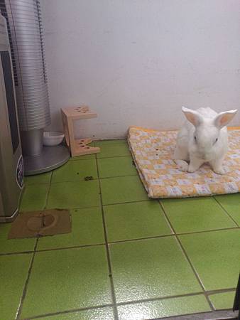 離開之前, 身體已經很不舒服, 但還是很努力的打起精神, 上演翻桌記....