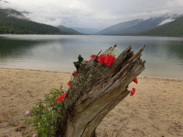 Kokanee Creek 營地海灘