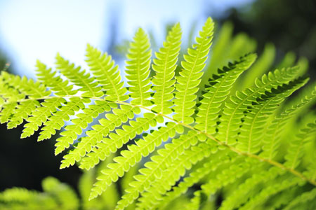 2011-8-05(46).JPG 2011-8-05(46).JPG