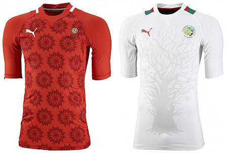 puma-2012-africa-kits-09-40.jpg