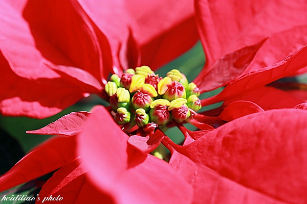 IMG_6915.JPG