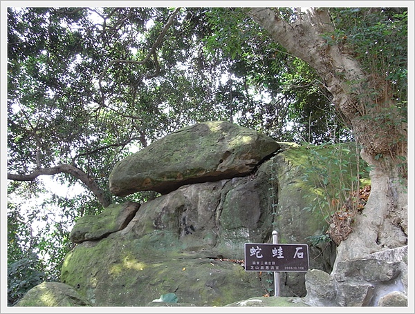 RIMG0482.JPG