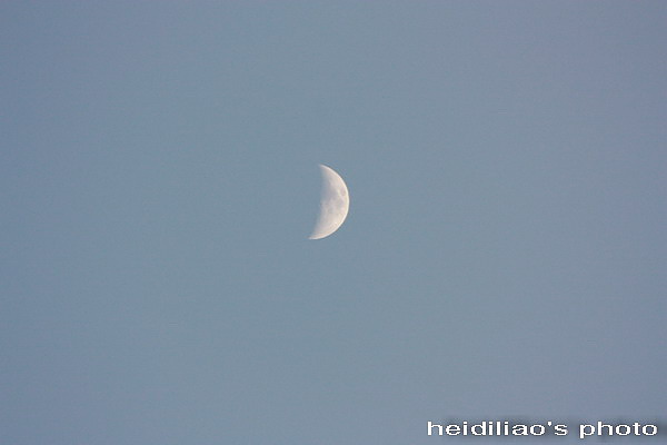 IMG_7025.jpg