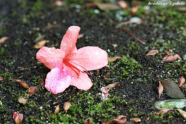 IMG_9670.JPG IMG_9670.JPG