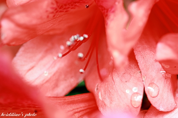 IMG_9675.JPG IMG_9675.JPG