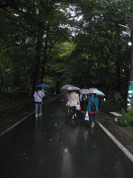 IMG_5110雨中趕路回輕井澤車站和民宿老闆碰頭...走著走著進入一片森林....天,也慢慢黑了.JPG