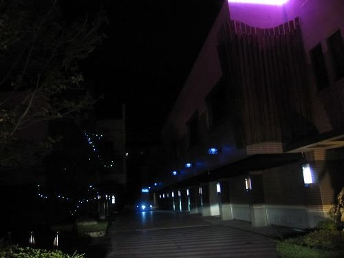 2012.08.11。爆肝‧台南善化‧激情密碼藝術商旅の508紫夜 ...