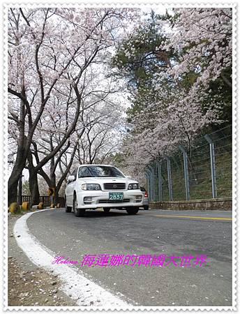 IMG_2235 IMG_2235