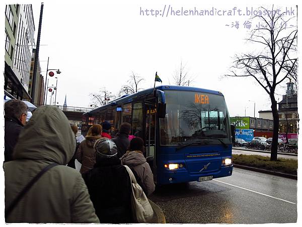 IMG_1017 IMG_1017
