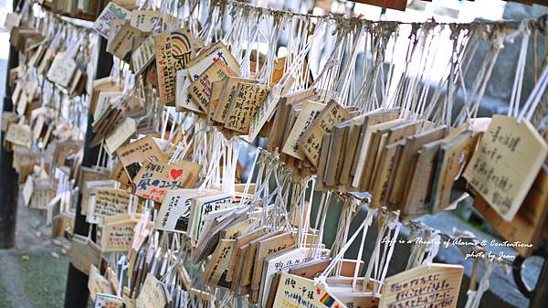 願大家願望成真 願大家願望成真