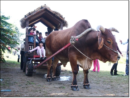 PC040137.JPG PC040137.JPG