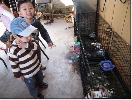 PC040152.JPG PC040152.JPG