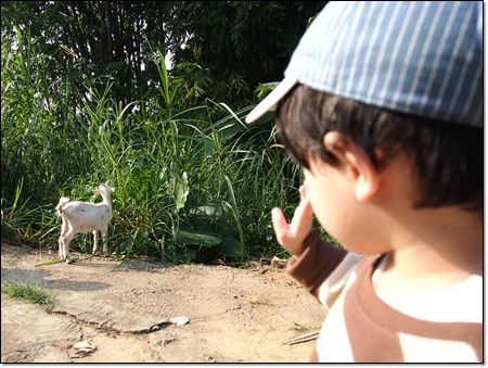 PC040232.JPG PC040232.JPG