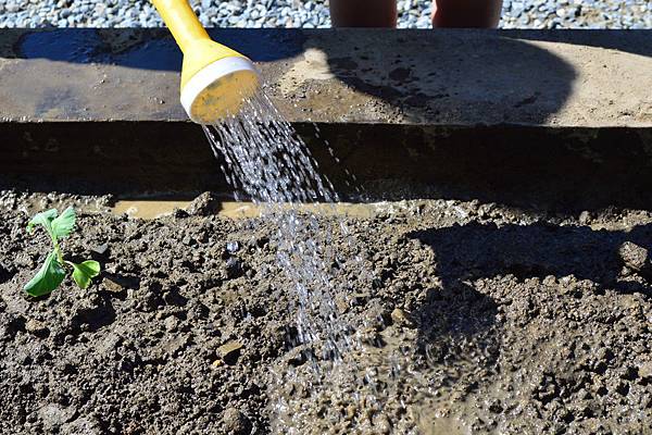 康橋小學田園區課程 康橋小學田園區課程