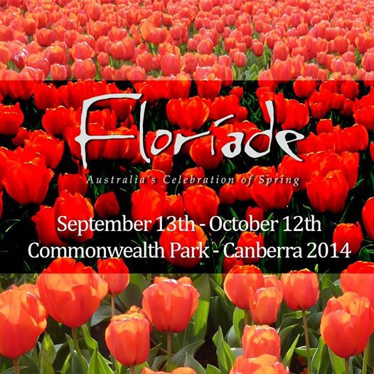 1781991_10152287335253825_1180334694_n