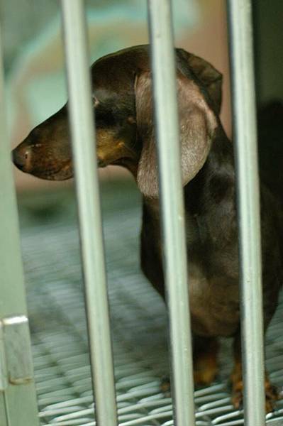 1185375_697522406942739_1637918889_n 1185375_697522406942739_1637918889_n