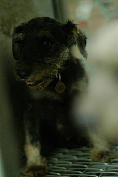 1236456_697523266942653_893624582_n 1236456_697523266942653_893624582_n