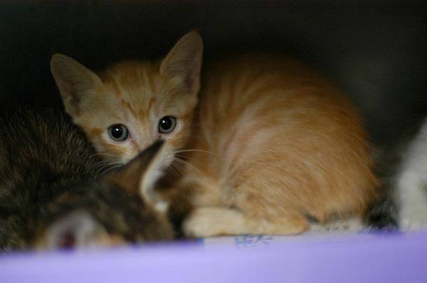 1236529_697534493608197_182937609_n 1236529_697534493608197_182937609_n