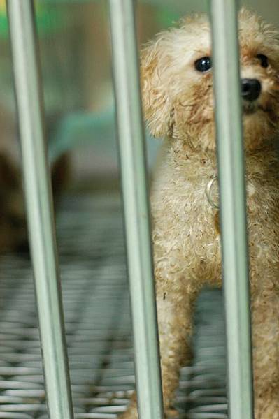 1150275_697523916942588_1940241720_n 1150275_697523916942588_1940241720_n