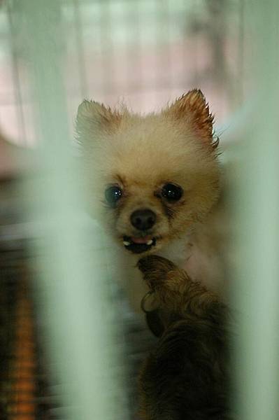 1236742_697524956942484_1425418818_n 1236742_697524956942484_1425418818_n