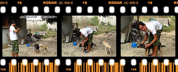 狗打蚤不到 (7).jpg 狗打蚤不到 (7).jpg