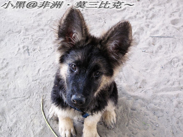 照片 088.jpg 照片 088.jpg