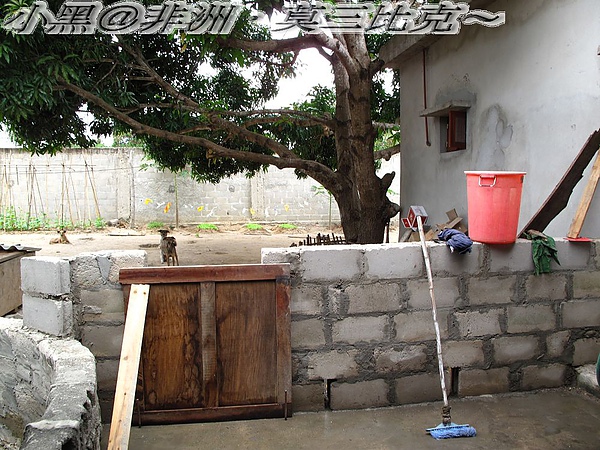 跳蚤不要來 (2).jpg 跳蚤不要來 (2).jpg