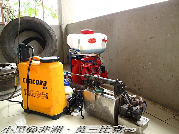 跳蚤不要來.jpg 跳蚤不要來.jpg