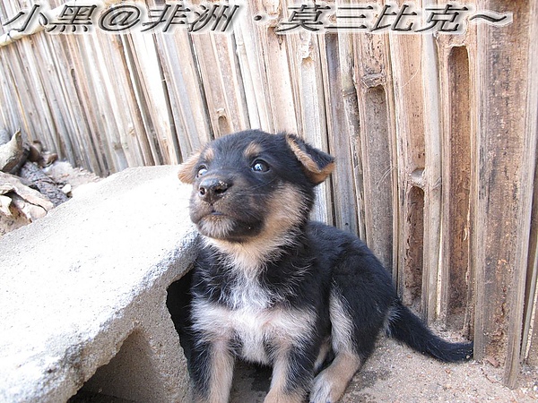 照片 059.jpg 照片 059.jpg