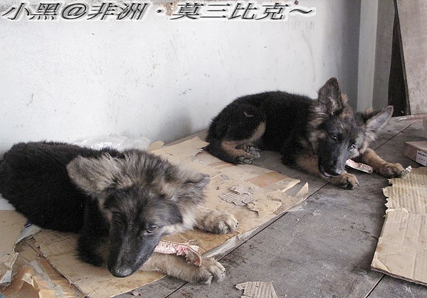 照片 175.jpg 照片 175.jpg