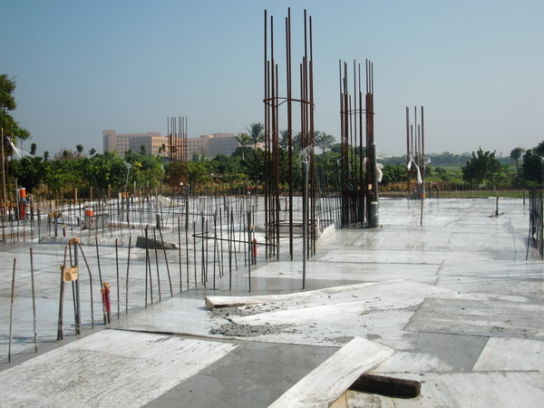 20130207~ 地坪養護-002